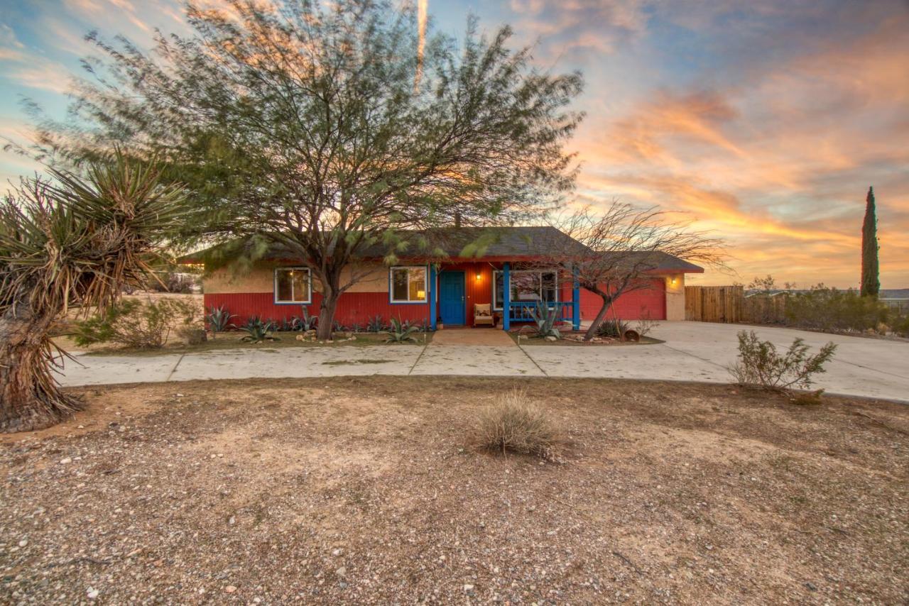 Cozy Desert Retreat With Amazing Views Only 4 Miles To Jtnp جوشوا تري المظهر الخارجي الصورة